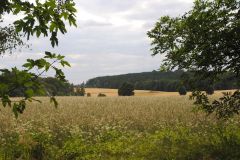 Kachla2019_Ostatni_0358