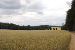Kachla2019_Ostatni_0361