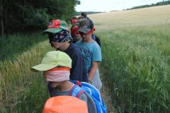 Kachla2019_Ostatni_0371